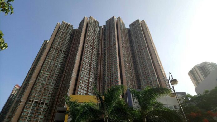 樓市連環報佳音